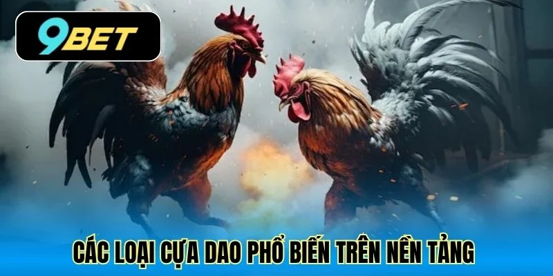 Các loại cựa dao phổ biến trên nền tảng 