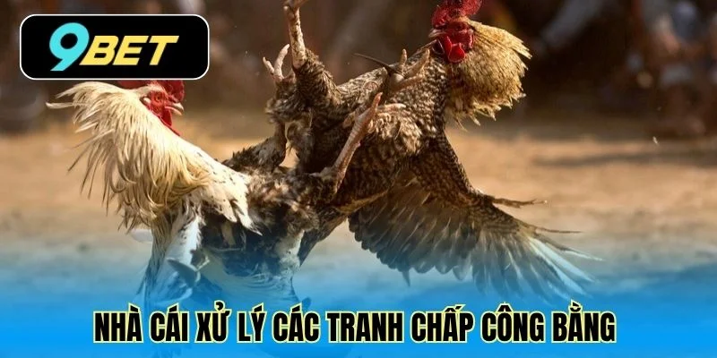 Nhà cái xử lý các tranh chấp công bằng 