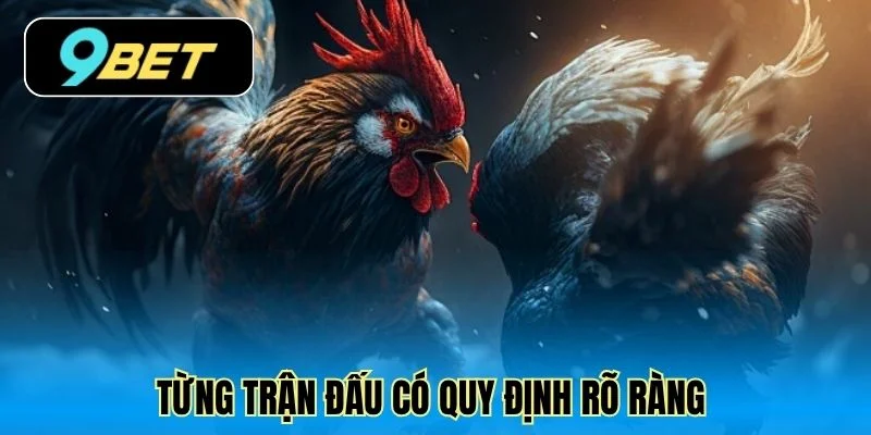 Từng trận đấu có quy định rõ ràng 